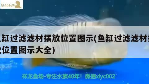 魚缸過濾濾材擺放位置圖示(魚缸過濾濾材擺放位置圖示大全)