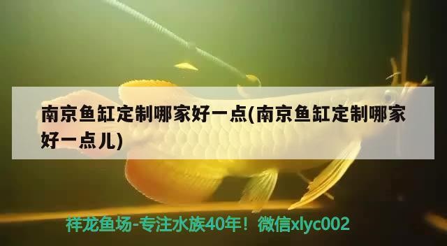 南京魚缸定制哪家好一點(南京魚缸定制哪家好一點兒) 南京魚缸定制哪家好一點(南京魚缸定制哪家好一點兒) 魟魚百科