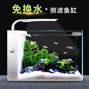 側(cè)濾魚缸造景：側(cè)濾魚缸造景是一種在魚缸內(nèi)進行布置的方法和方法