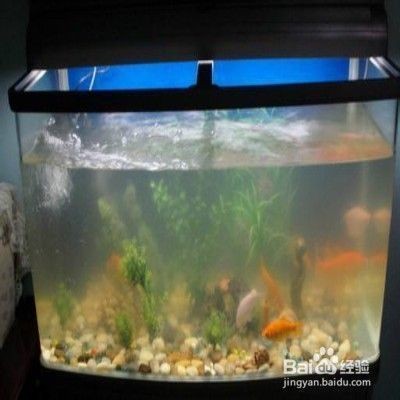 瑞麗市海之悅水族館（瑞麗市海之悅水族館電話）