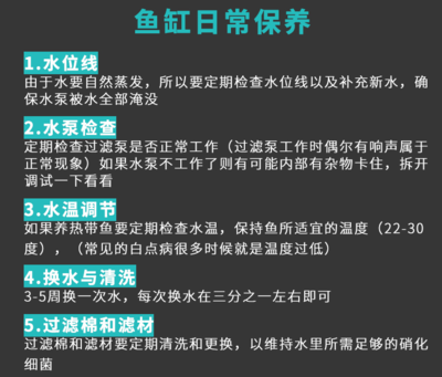 森森 博宇 哪個好