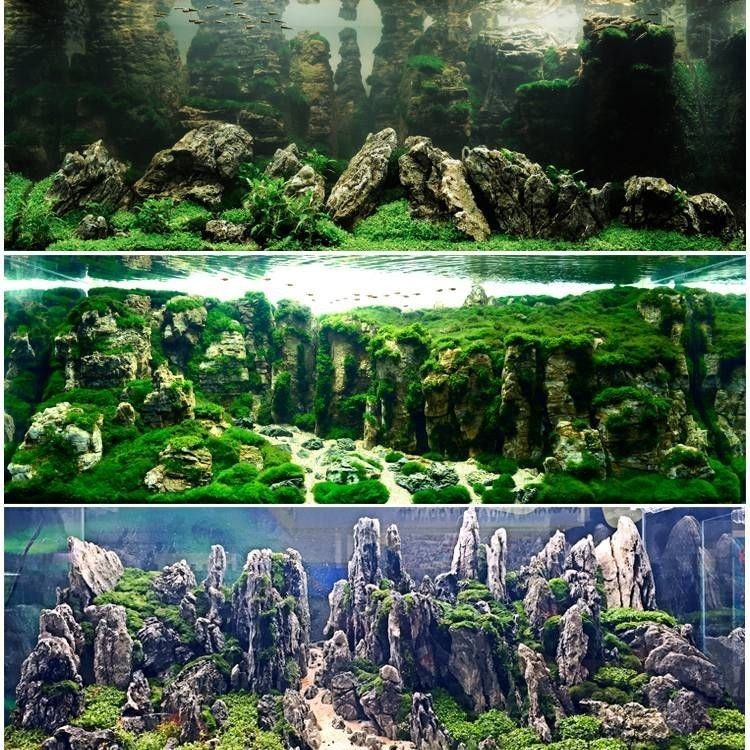 1米2魚缸純青龍石造景：1米2魚缸純青龍石造景需要注意什么？