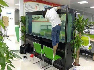 搬家公司搬個(gè)魚缸多少錢：搬家公司搬個(gè)魚缸的費(fèi)用會(huì)從哪些因素決定？