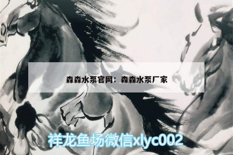 森森水泵官網(wǎng):森森水泵廠家