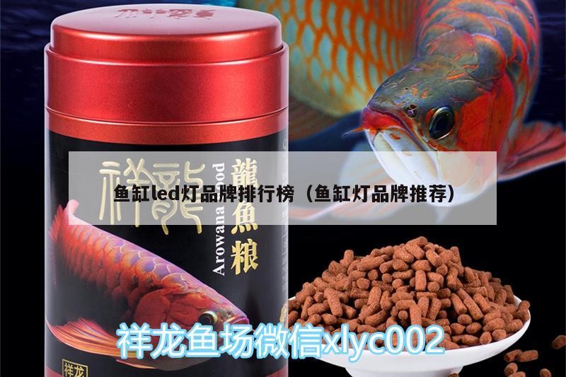 魚缸led燈品牌排行榜（魚缸燈品牌推薦）