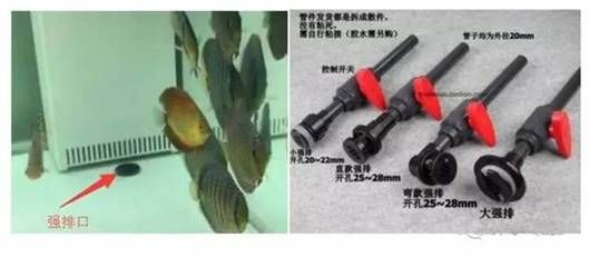成品魚缸能不能開孔呢：成品魚缸可以開孔嗎