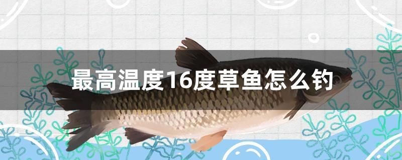 阜新二手魚缸百姓網價格表（裝飾掛簾在哪兒買呢）