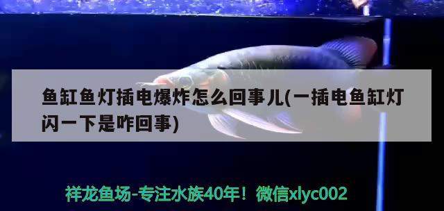 魚缸魚燈插電爆炸怎么回事兒(一插電魚缸燈閃一下是咋回事)