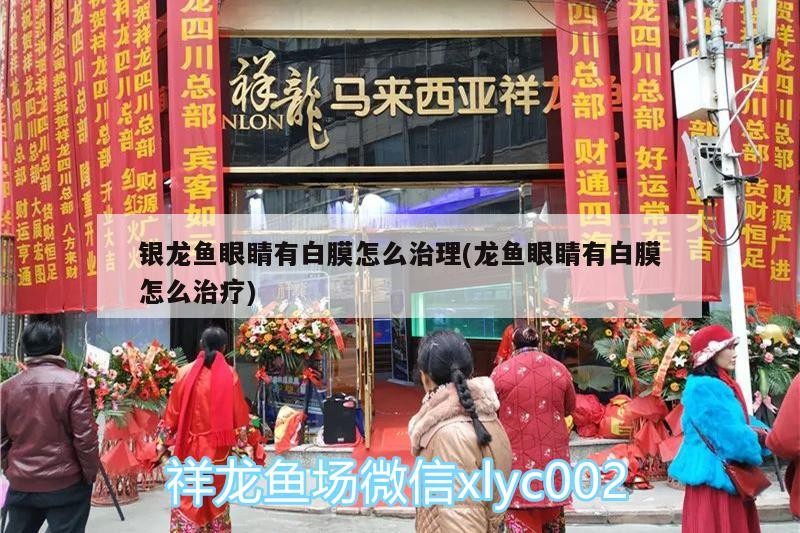 銀龍魚眼睛有白膜怎么治理(龍魚眼睛有白膜怎么治療)