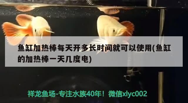 魚缸加熱棒每天開多長時間就可以使用(魚缸的加熱棒一天幾度電)
