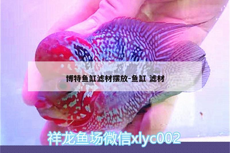 博特魚缸濾材擺放:魚缸濾材