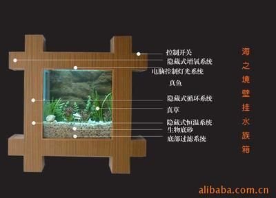 帶循環(huán)系統(tǒng)的魚缸多久換水：養(yǎng)魚與季節(jié)變化的關(guān)系探討?zhàn)B魚與季節(jié)變化的關(guān)系