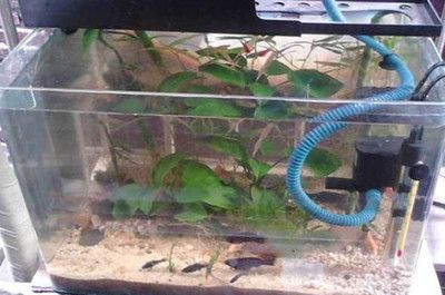 超白魚缸玻璃劃痕修復方法視頻:超白魚缸玻璃劃痕修復方法 魚缸百科 第1張 超白魚缸玻璃劃痕修復方法視頻:超白魚缸玻璃劃痕修復方法 超白魚缸玻璃劃痕修復方法視頻:超白魚缸玻璃劃痕修復方法 魚缸百科 第1張