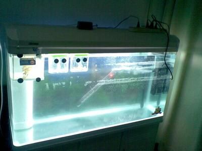 超白魚缸玻璃劃痕修復方法視頻:超白魚缸玻璃劃痕修復方法 魚缸百科 第2張 超白魚缸玻璃劃痕修復方法視頻:超白魚缸玻璃劃痕修復方法 超白魚缸玻璃劃痕修復方法視頻:超白魚缸玻璃劃痕修復方法 魚缸百科 第2張