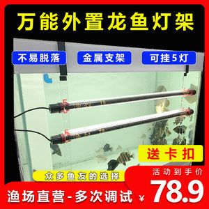紅龍魚用什么燈照比較好養