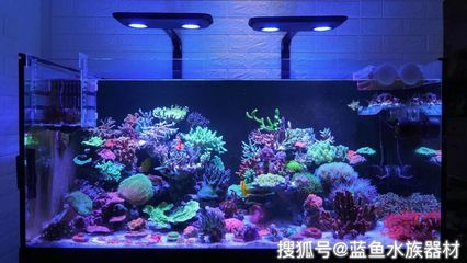 對著魚缸吹氣可以增氧嗎：養(yǎng)魚的過程中，魚缸中的水有足夠的氧氣是非常重要的