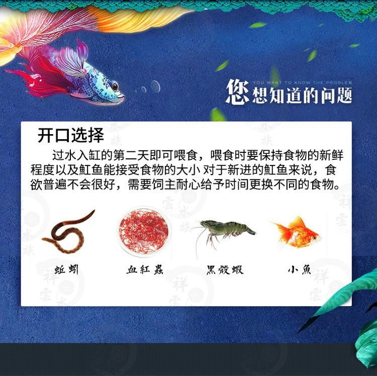 如何判斷黑金魟魚飽腹，如何判斷黑金魟魚是否飽腹