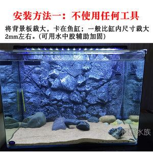 虎魚色彩的秘密你知道嗎？：色彩心理學(xué)選擇虎魚缸背景選擇3d仿真背景板美觀且逼真