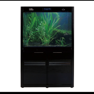 臨渭區海夢時尚水族（臨渭區海夢時尚水族館電話）
