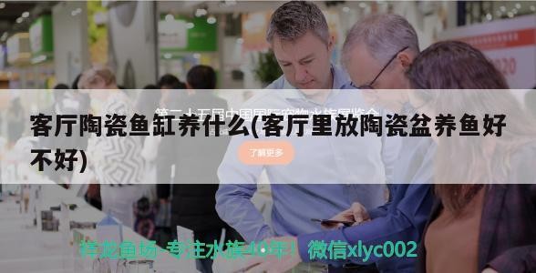 客廳陶瓷魚缸養什么(客廳里放陶瓷盆養魚好不好)