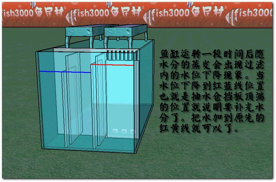 背濾魚缸設計圖：如何制作小型背濾缸