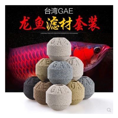 紅龍魚(yú)常見(jiàn)疾病及防治：紅龍魚(yú)常見(jiàn)的疾病及其治療方法