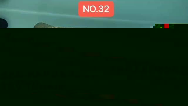 虎魚和龍魚混養怎么喂虎魚好(虎魚和龍魚混養怎么喂虎魚好呢)