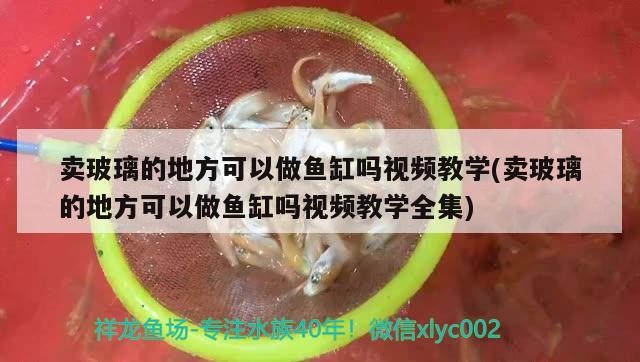 賣玻璃的地方可以做魚缸嗎視頻教學(賣玻璃的地方可以做魚缸嗎視頻教學全集)