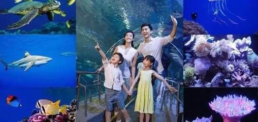 泉州水族館vs祥龍魚場（泉州水族館與祥龍魚場各有特點）