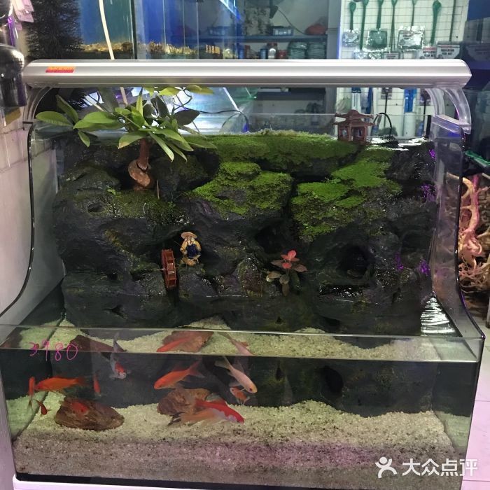 泉州水族館vs祥龍魚場（泉州水族館與祥龍魚場各有特點）