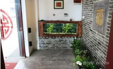 對著進戶門放魚缸好嗎：對著進戶門放魚缸好還是不好