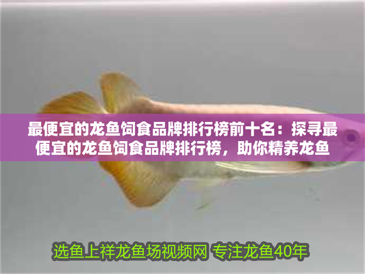 龍魚(yú)排名前十名