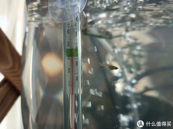 北方魚缸加熱一般什么時候開啟：北方魚缸加熱一般在秋季下旬開啟，具體時間需根據當地氣候決定