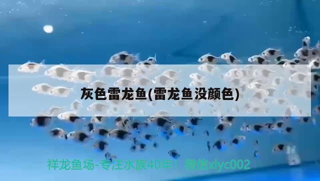 博特二代魚缸價格 博特f款魚缸