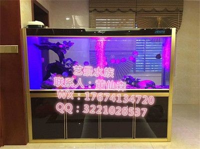 大型魚缸一天用多少電量：大型魚缸一天用電量多少？