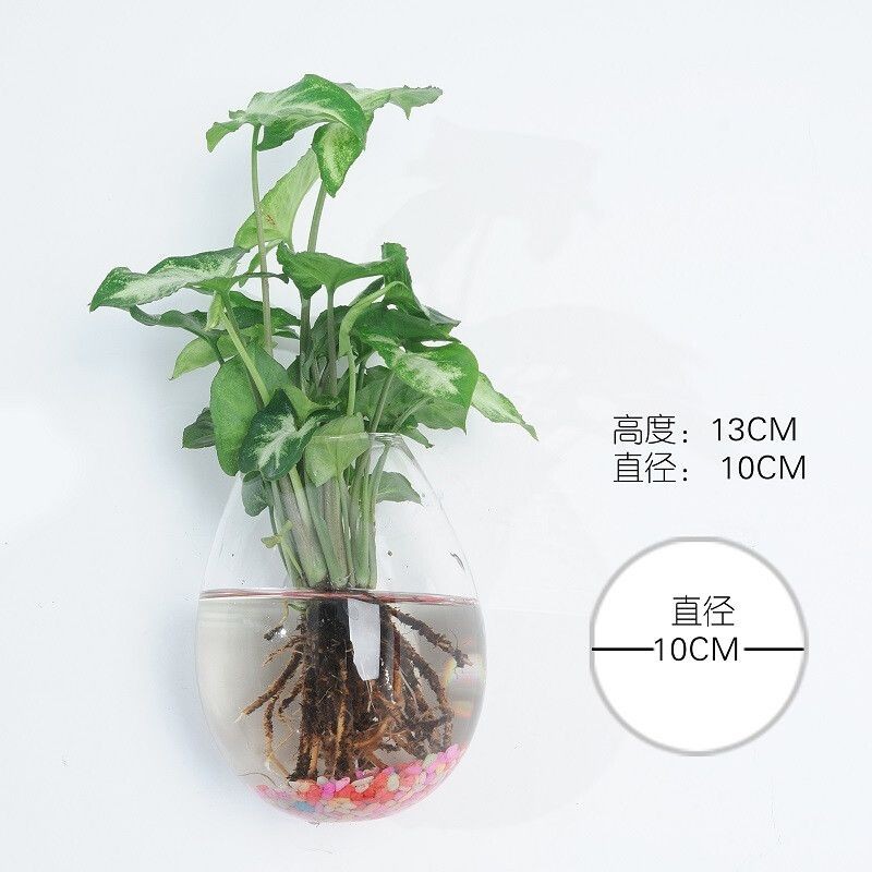 玻璃魚缸做盆景可以嗎：玻璃鋼魚缸造景小常識