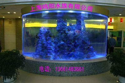 大型魚缸訂制價格：大型魚缸定制價格