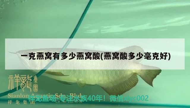 金龍魚擺件如何擺放，木雕金龍魚圖片大全和木雕金龍魚圖片大全，可以嗎
