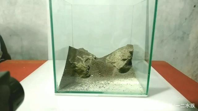 西豐縣西豐鎮輝宏精品水族館（西豐縣西豐鎮輝宏精品水族館電話）