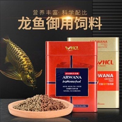紅龍魚活體飼料：如何自制紅龍魚活體飼料，紅龍魚活體飼料的市場價格