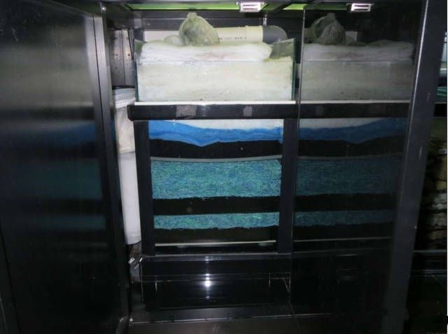 超白魚缸過濾：超白魚缸的安裝與維護