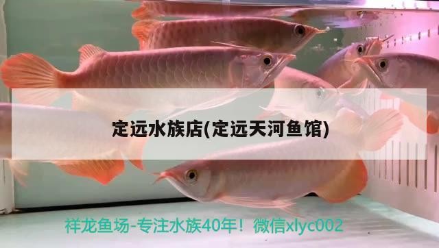 定遠水族店(定遠天河魚館)