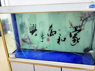 玻璃魚缸漏水怎么辦？：如何處理玻璃魚缸漏水？