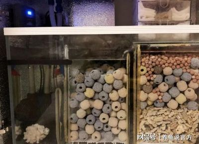 側濾魚缸如何實現(xiàn)干濕分離效果視頻：側濾魚缸實現(xiàn)干濕分離的方法和優(yōu)點干濕分離的方法