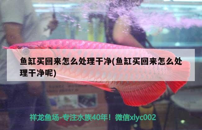 魚缸買回來怎么處理干凈(魚缸買回來怎么處理干凈呢)