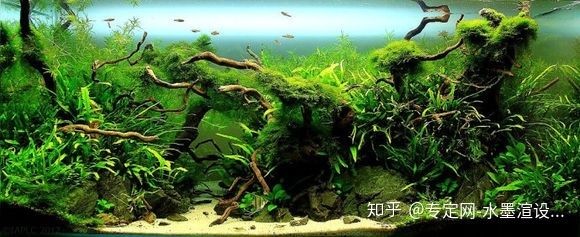 玻璃膠粘魚(yú)缸能用幾年嗎有毒嗎：玻璃膠粘魚(yú)缸使用壽命主要取決于所使用的玻璃膠類型和魚(yú)缸的使用壽命