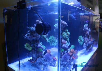 處理魚缸設備東西好設備全：常見的魚缸設備及其作用