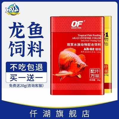仟湖紅龍魚：仟湖紅龍魚養殖技術 仟湖紅龍魚：仟湖紅龍魚養殖技術 紅龍魚百科 第4張