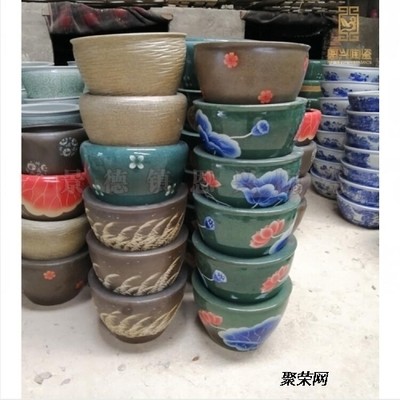 哪些人群不適合吃龍魚干？，哪些人群不能吃龍魚干？