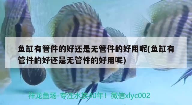 魚(yú)缸有管件的好還是無(wú)管件的好用呢(魚(yú)缸有管件的好還是無(wú)管件的好用呢)